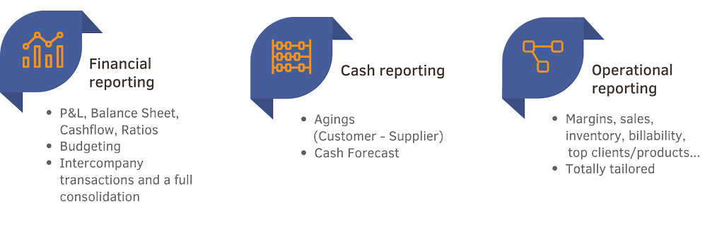 BI Book alternative - The reporting modules of BrightAnalytics: financial reporting, cash reporting, and operational reporting